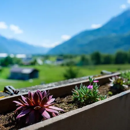 瑞莱斯贝亚德酒店 苏斯坦