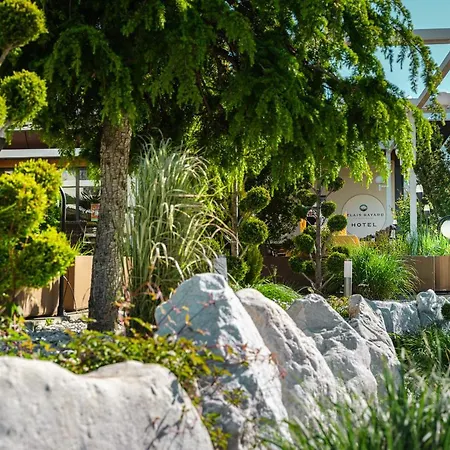 Relais Bayard ホテル Leuk
