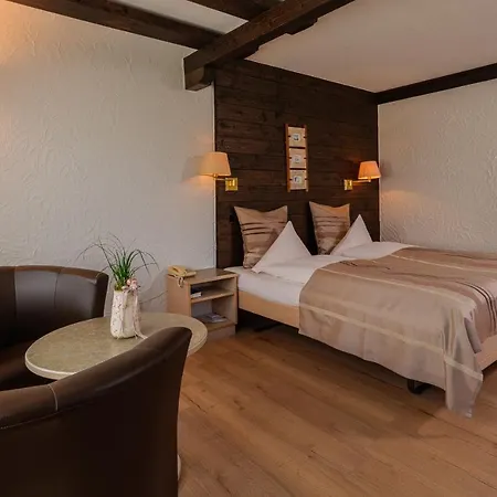 Relais Bayard Hotell 3*